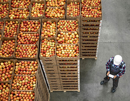 Release 19 Ambient IoT